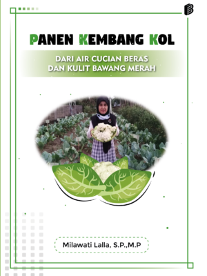Panen Kembang Kol dari Air Cucian Beras dan Kulit Bawang Merah