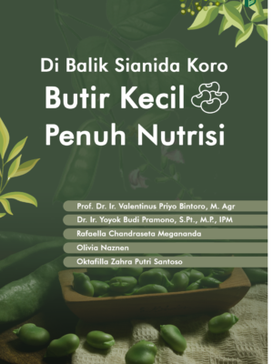 Di Balik Sianida Koro Butir Kecil Penuh Nutrisi